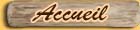 Accueil
